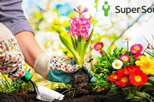 blog_zahrada Super Soused zahradní práce