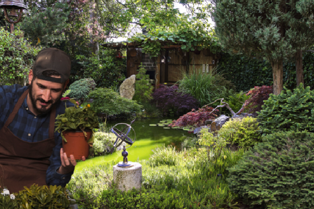 jarní úklid zahrady jarní úklid zahrady