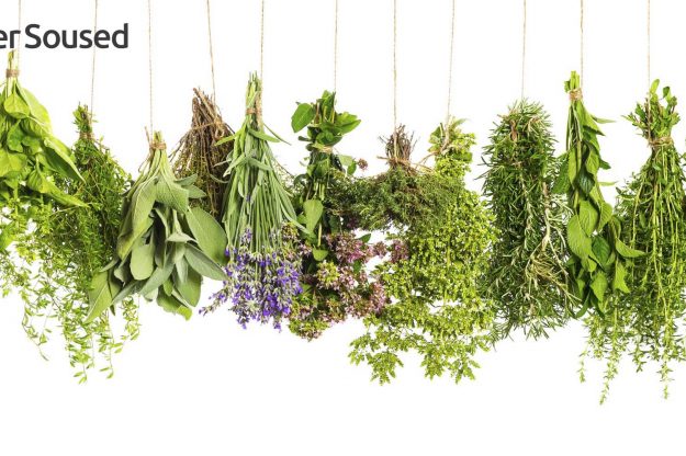 přírodní repelent